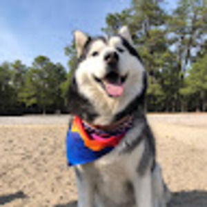 Meet your Posher, Troy